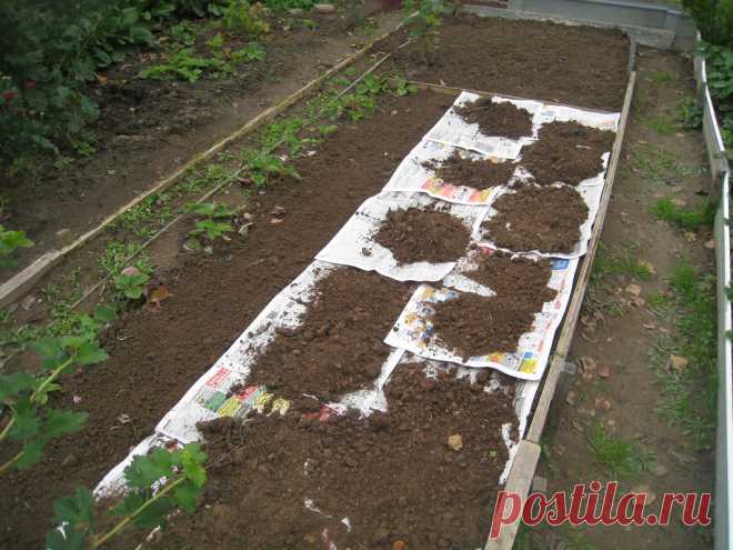 ПОЛЕЗНЫЕ ИДЕИ