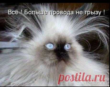 галерея фотоприколов