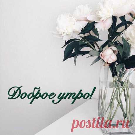 С добрым утром, друзья!
Утро — новый день, новый вдох, новые надежды..
У каждого в душе свои букеты и климат у души, там тоже свой.
...Достаньте ЧУВСТВА из архива, сотрите Пыль... с Души и Глаз... И научитесь ЖИТЬ... Красиво, земля ведь создана для НАС!...
...А СЧАСТЬЕ тем и непривычно, что выглядит
Совсем ОБЫЧНО...
А чудеса-они повсюду,
Не надо далеко ходить:
Проснуться утром-это чудо,
И чудо жить!