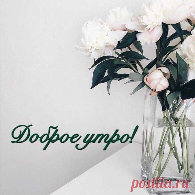 С добрым утром, друзья!
Утро — новый день, новый вдох, новые надежды..
У каждого в душе свои букеты и климат у души, там тоже свой.
...Достаньте ЧУВСТВА из архива, сотрите Пыль... с Души и Глаз... И научитесь ЖИТЬ... Красиво, земля ведь создана для НАС!...
...А СЧАСТЬЕ тем и непривычно, что выглядит
Совсем ОБЫЧНО...
А чудеса-они повсюду,
Не надо далеко ходить:
Проснуться утром-это чудо,
И чудо жить!