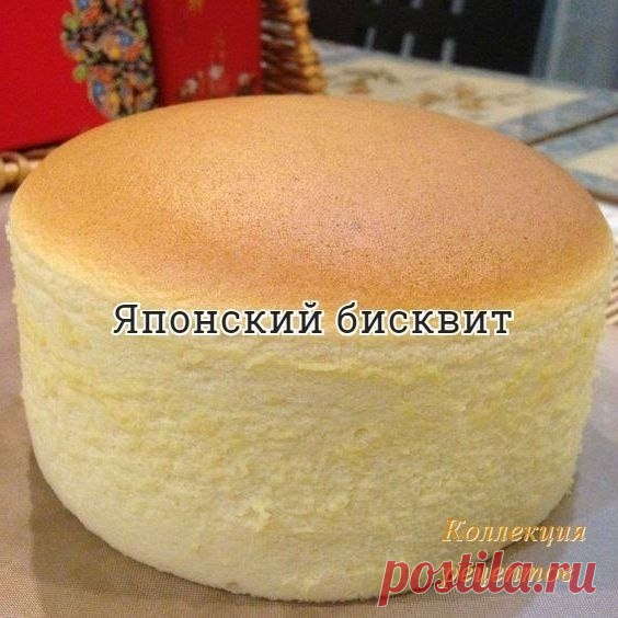 Коллекция 
