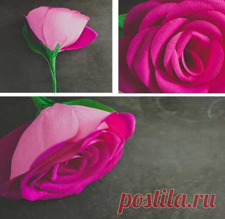 Гигантские розы: мастер-класс — Сделай сам, идеи для творчества - DIY Ideas