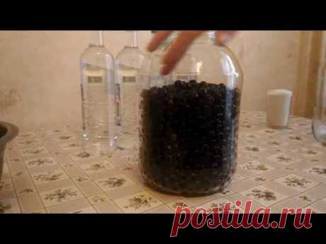 Настойка из черной смородины на водке. Простой рецепт