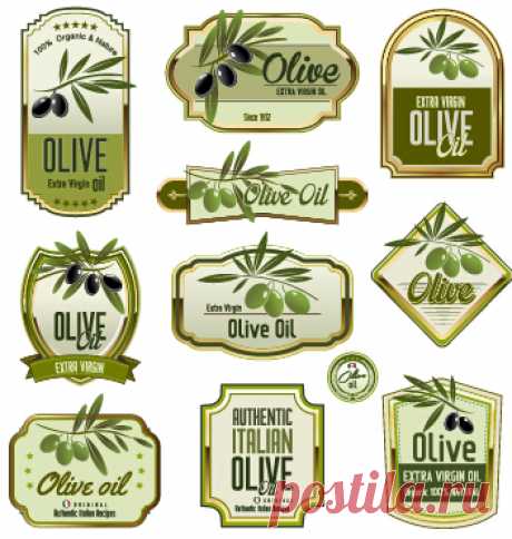 Green-olive-oil-labels-set-vector-01.jpg (352×370)
