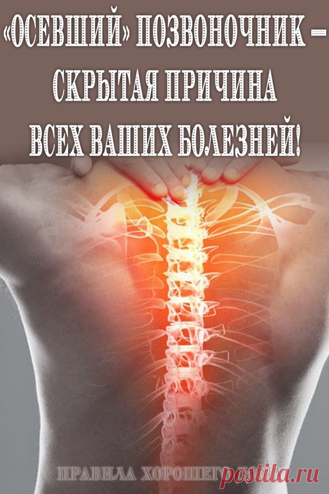 Почему болит спина: простой ответ на сложный вопрос. С возрастом мускулы человека становятся дряблыми, ткани не получают достаточного питания, вследствие чего хрящи и диски между позвонками разрушаются..Позвоночник «усыхает», потому люди к 60-70 годам становятся ниже ростом. Но это происходит отнюдь не от «старости».