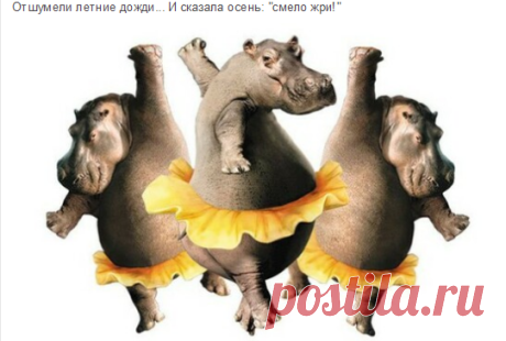 Мой Мир@Mail.Ru