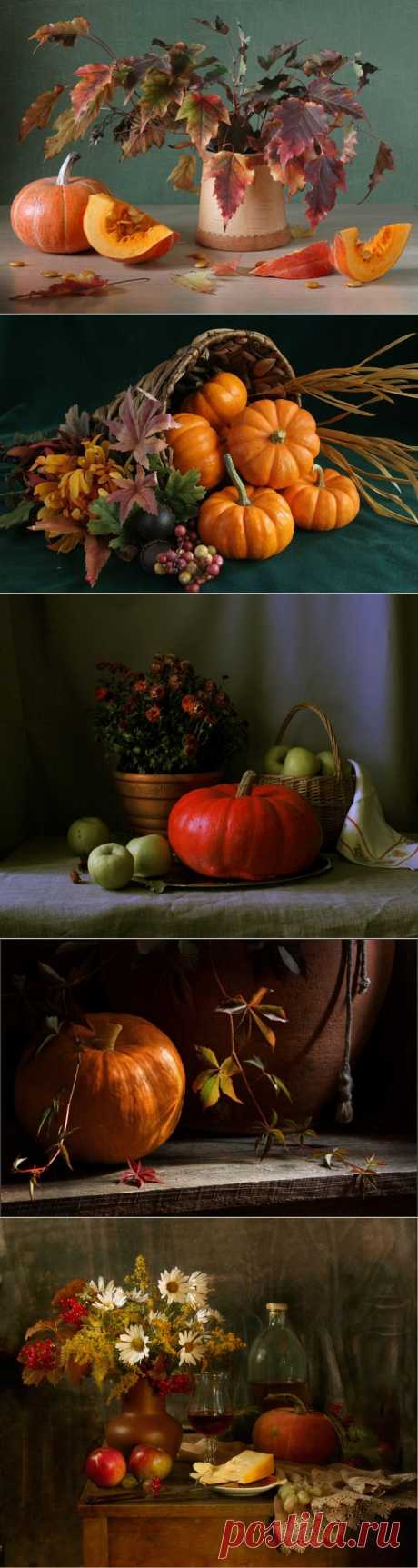 Натюрморт с тыквой - Still life with pumpkin
