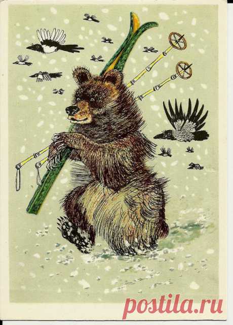 Bear skier Vintage Russian Postcard drawing by от LucyMarket