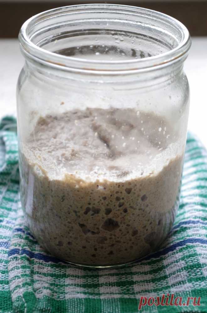 Ржаная закваска, самая любимая и послушная!