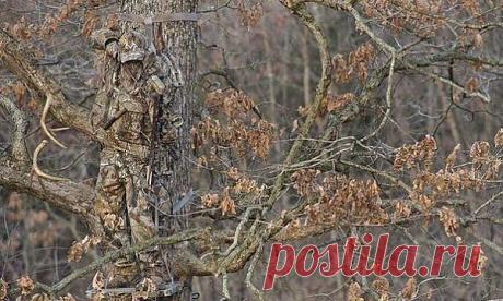 (10) Одноклассники