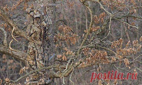 (10) Одноклассники