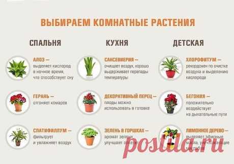 Маленькие хитрости / Домашний лайфхак