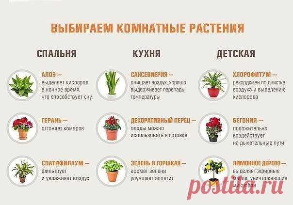 Маленькие хитрости / Домашний лайфхак