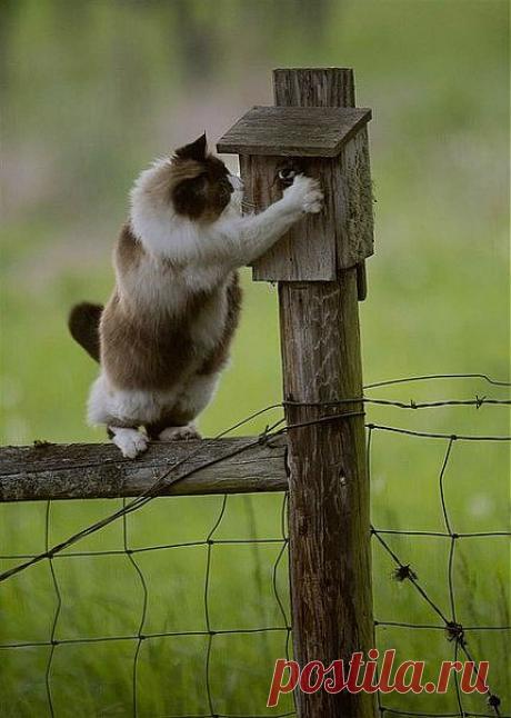 Открывайте уже!!!