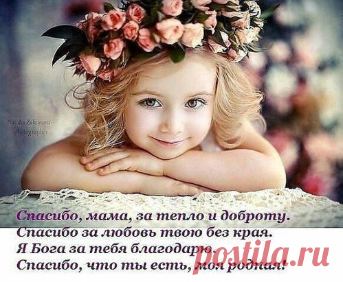(2) Одноклассники