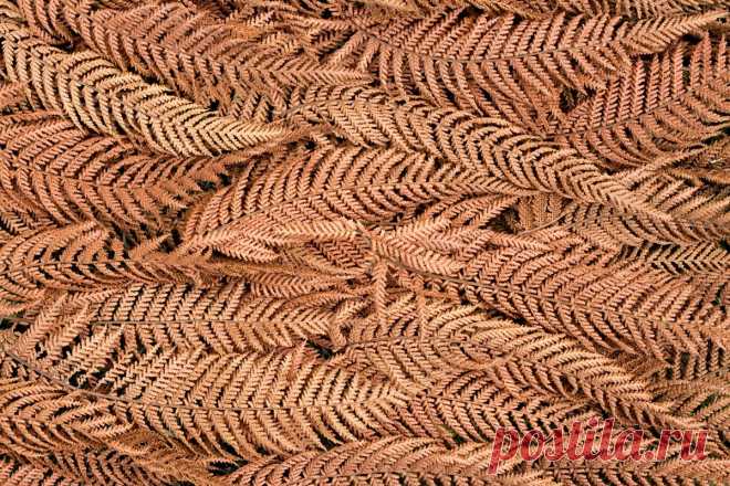 Лучшие материалы для зимнего укрытия растений