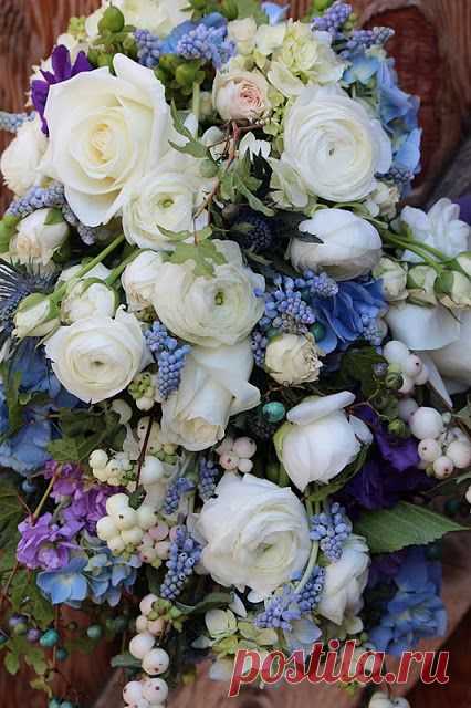Найдено на сайте sayleslivingstonflowers.blogspot.com.