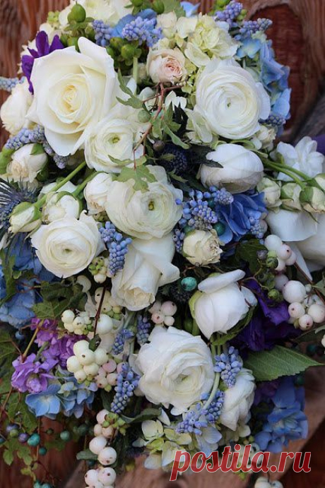 Найдено на сайте sayleslivingstonflowers.blogspot.com.