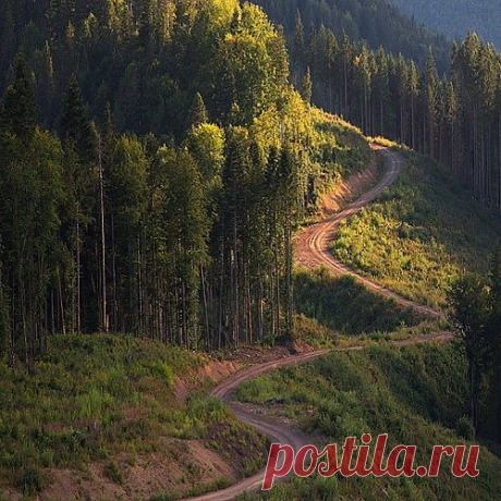 (46) Одноклассники