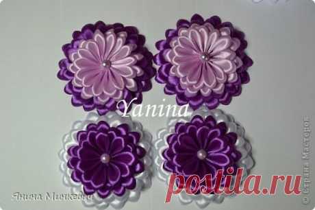 Цинии из лент