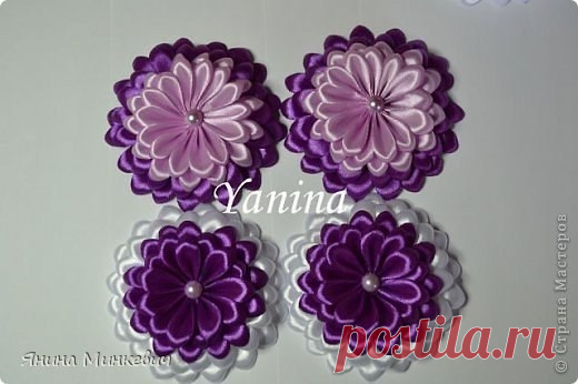 Цинии из лент
