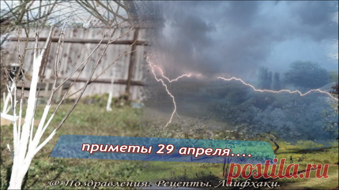 29 апреля традиции на Ирину – рассадницу: Что желательно успеть сделать…. | Поздравления. Рецепты. Лайфхаки. | Яндекс Дзен