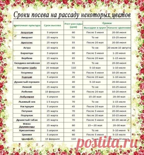 Дневник ТАТЬЯНЫ СОСНОВСКОЙ
