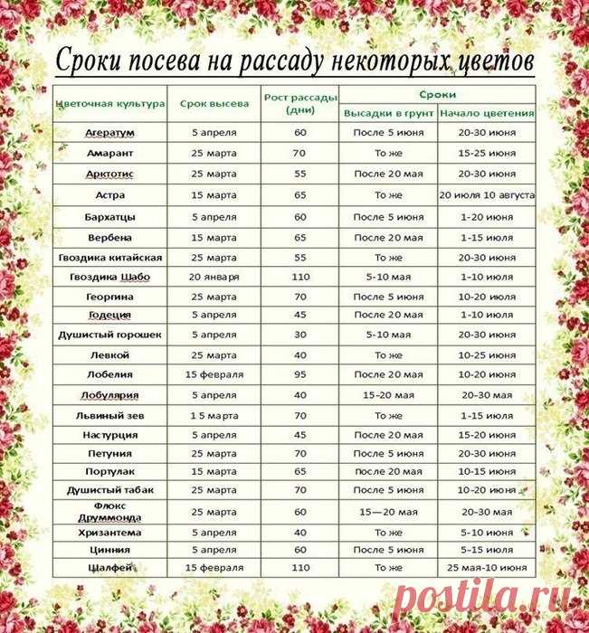 Дневник ТАТЬЯНЫ СОСНОВСКОЙ