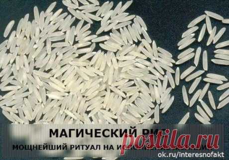 (21) Одноклассники