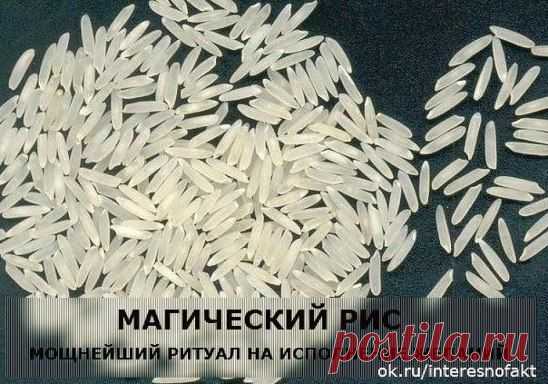 (21) Одноклассники