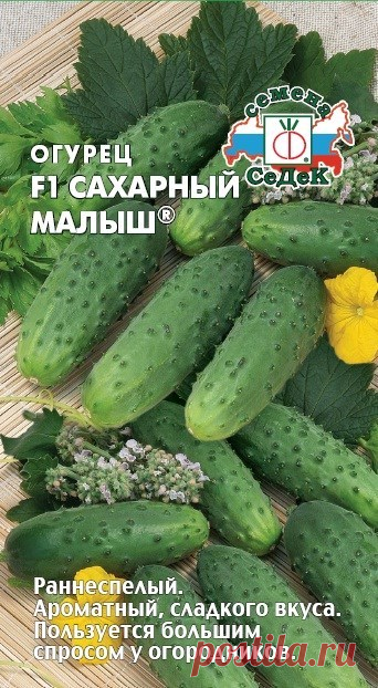 Огурец малыш характеристика и описание сорта