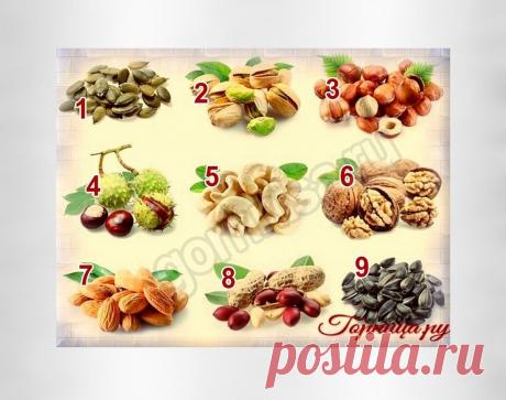 Тест личности - Насколько вы решительный человек ГОРНИЦА - Тесты