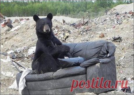 Одноклассники