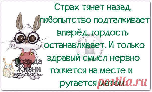 Позитивные фразочки в картинках.