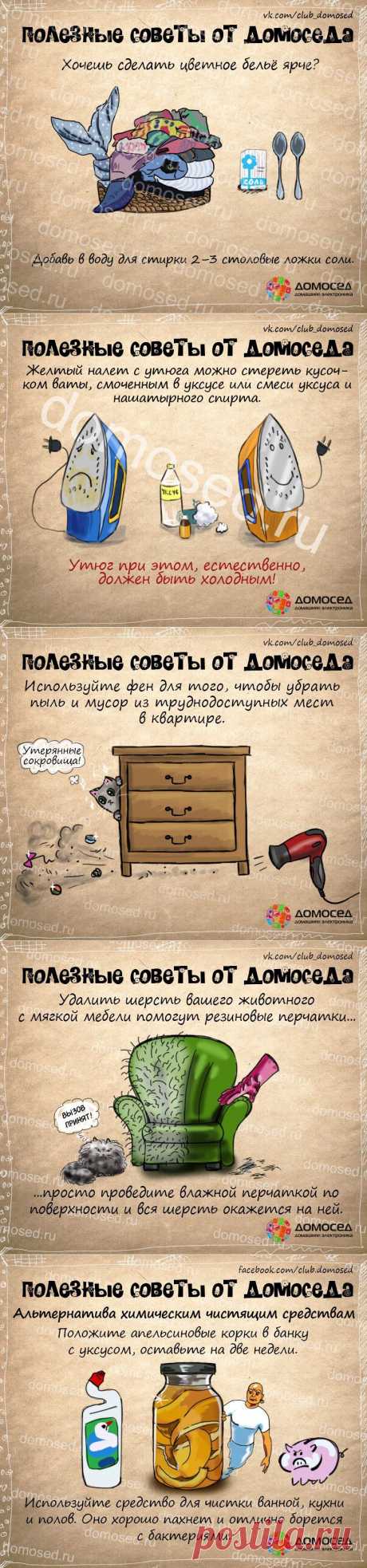 Полезные советы от Домоседа