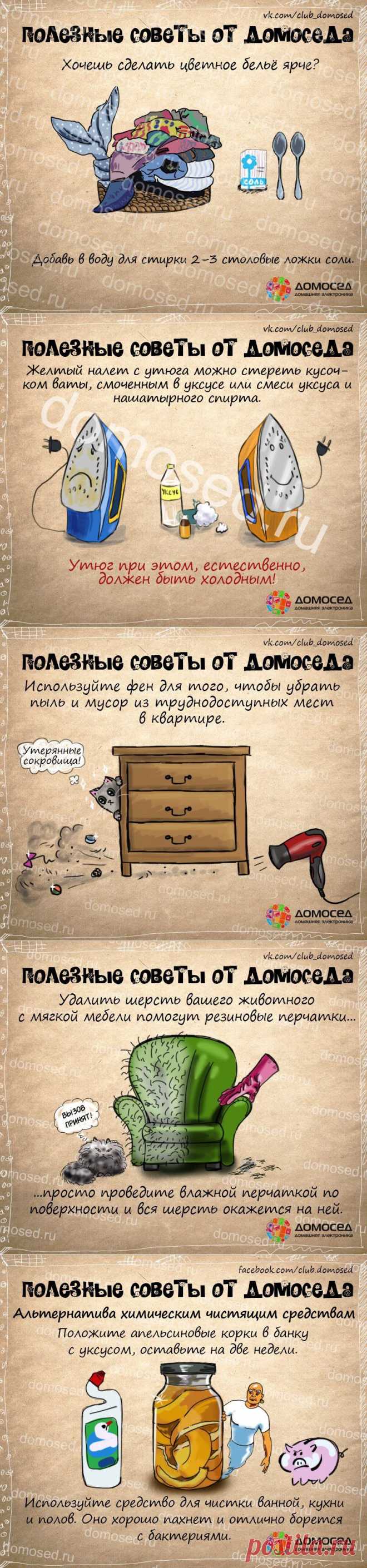 Полезные советы от Домоседа