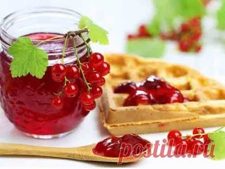 ЖЕЛЕ ИЗ КРАСНОЙ СМОРОДИНЫ