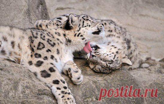 Мы бываем естественны только с теми, кого мы любим.