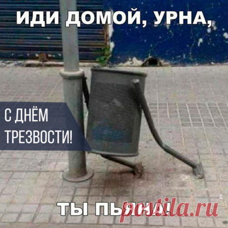 День Трезвости сегодня —
Праздник всероссийский,
Я с этим днем поздравлю
Знакомых всех и близких.