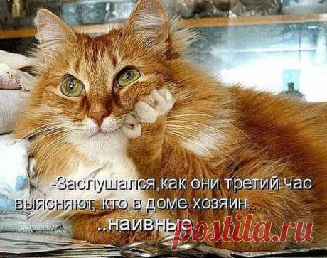 РЫЖИЙ.