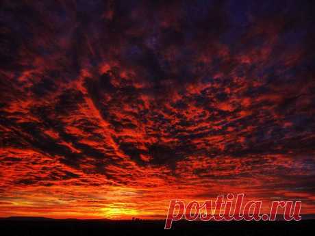 Всем доброе ут / Социальная погода