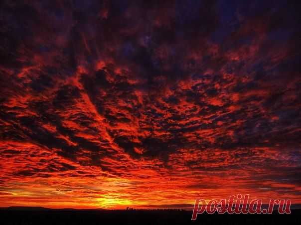 Всем доброе ут / Социальная погода