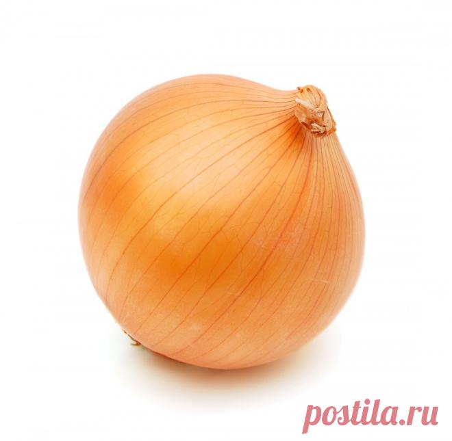 ЦВЕТЫ - ГУРМАНЫ.... | Познавательный сайт ,,1000 мелочей"