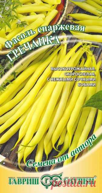 Семена. Фасоль 