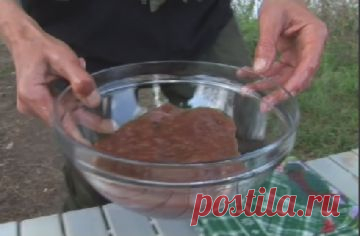 как приготовить икру | Готовимся к рыбалке