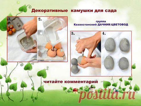 Казахстанский ДАЧНИК - ЦВЕТОВОД. Добавлена фотография в альбом № 34 - Мастер - Класс из ....