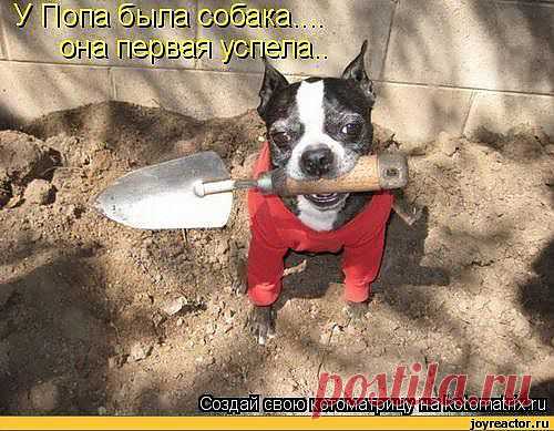 успела...