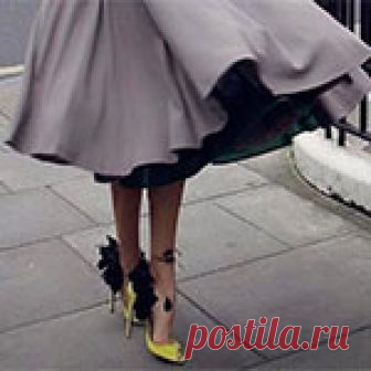 Камни из почек прогонит петрушка