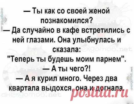 анекдоты юмор приколы картинки. присоединяйтесь! #ツ ПРИКОЛЫ ЮМОР ШУТКИ ツ группа фейсбук
