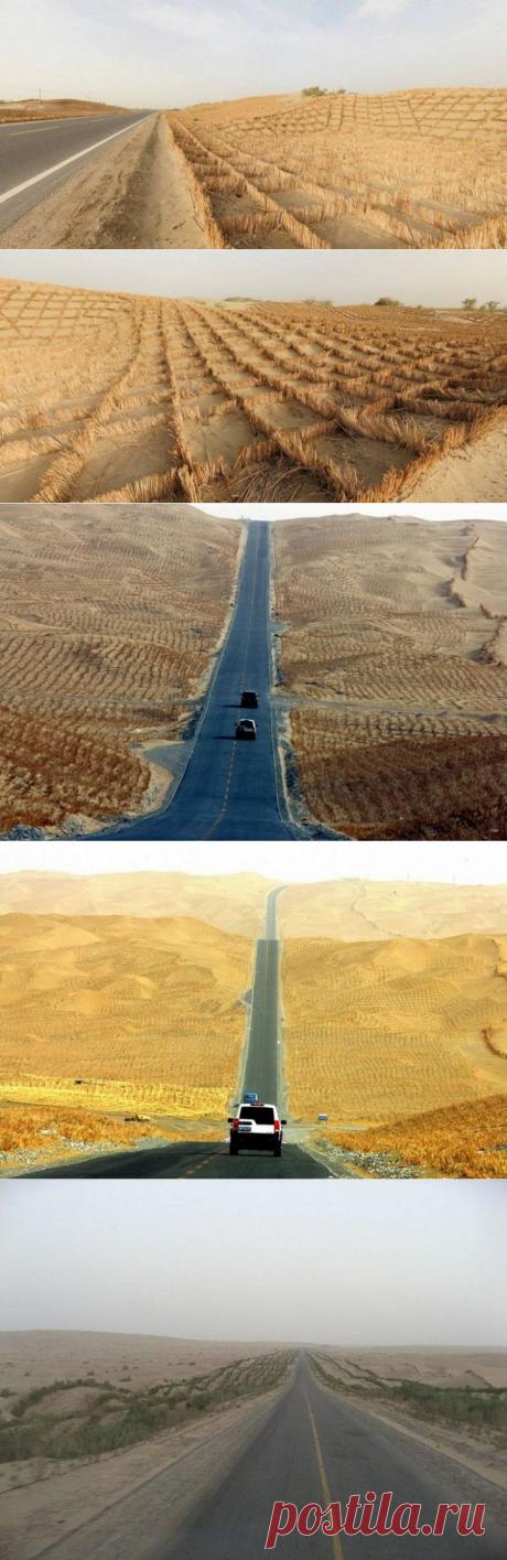 (+1) тема - Шоссе Тарим cамое длинное шоссе в пустыне c зелеными насаждениями | Наука и техника